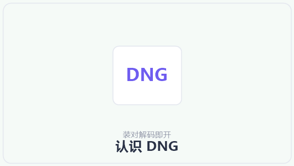 认识 DNG 示意图