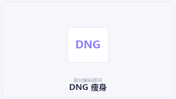 DNG 瘦身 示意图