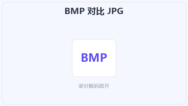 BMP 对比 JPG 示意图