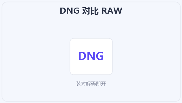 DNG 对比 RAW 示意图