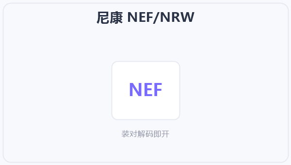 尼康 NEF/NRW 示意图