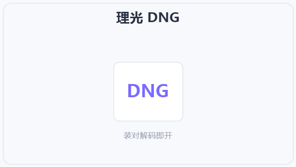 理光 DNG 示意图