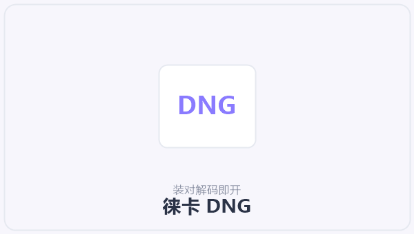 徕卡 DNG 示意图