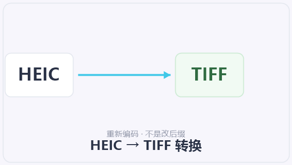 HEIC → TIFF 转换 示意图