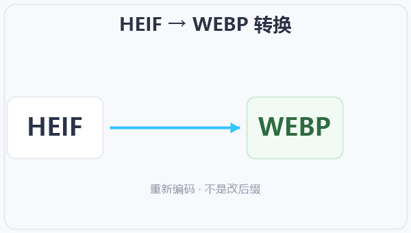 HEIF → WEBP 转换 示意图