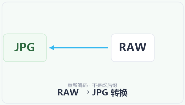 RAW → JPG 转换 示意图