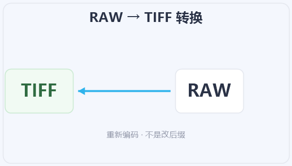 RAW → TIFF 转换 示意图