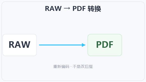 RAW → PDF 转换 示意图