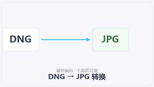DNG → JPG 转换 示意图