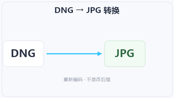 DNG → JPG 转换 示意图