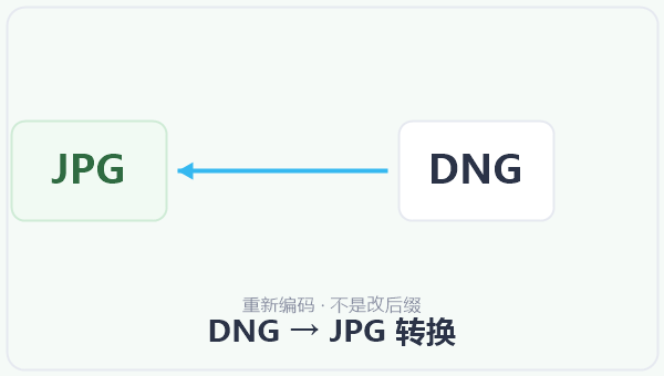 DNG → JPG 转换 示意图