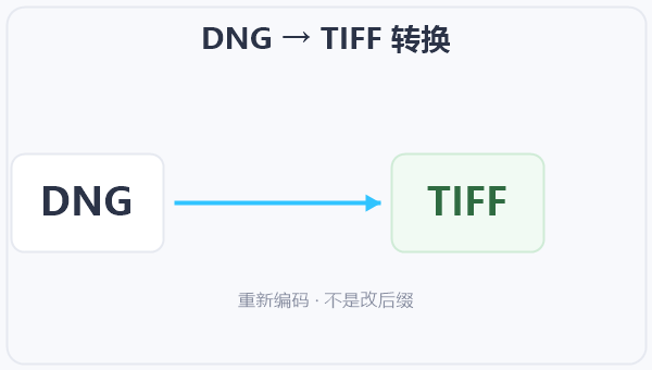 DNG → TIFF 转换 示意图