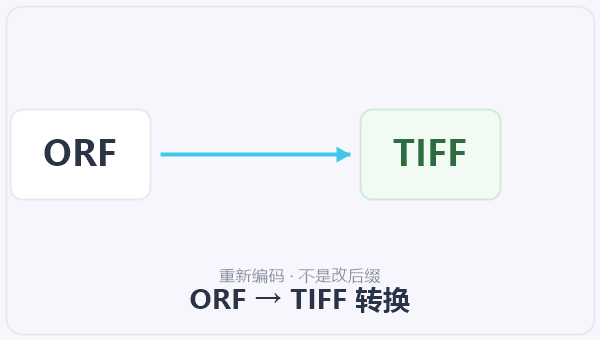 ORF → TIFF 转换 示意图