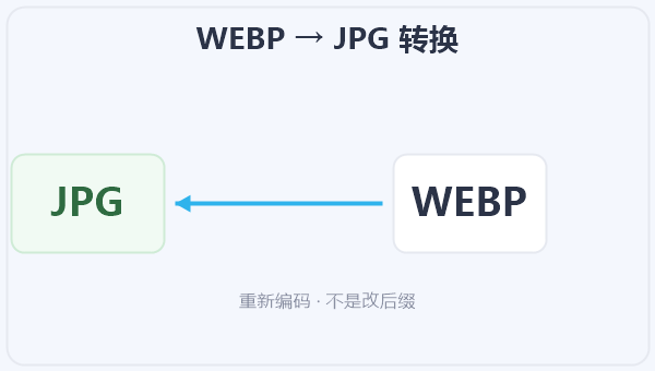 WEBP → JPG 转换 示意图