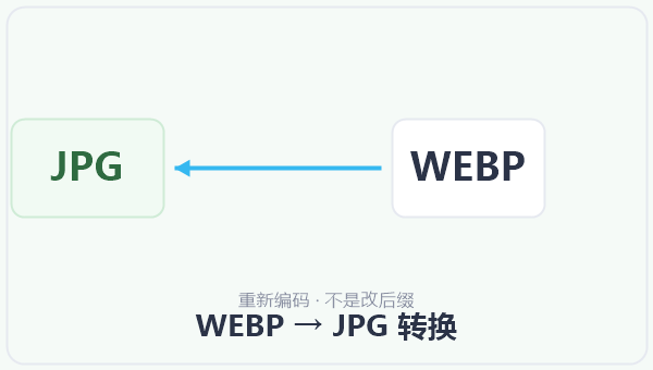 WEBP → JPG 转换 示意图