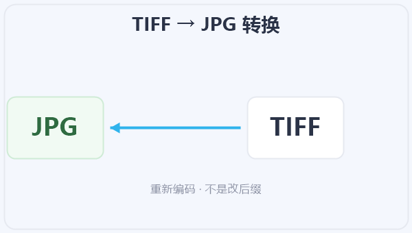 TIFF → JPG 转换 示意图