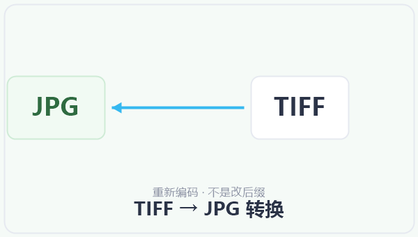 TIFF → JPG 转换 示意图