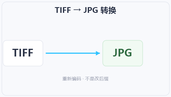 TIFF → JPG 转换 示意图