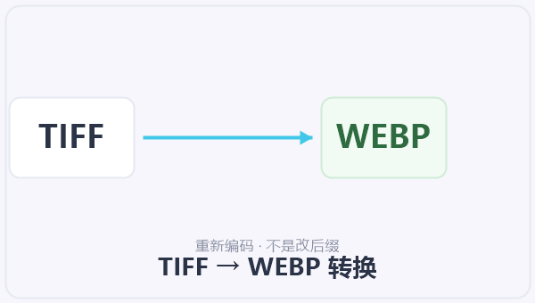 TIFF → WEBP 转换 示意图