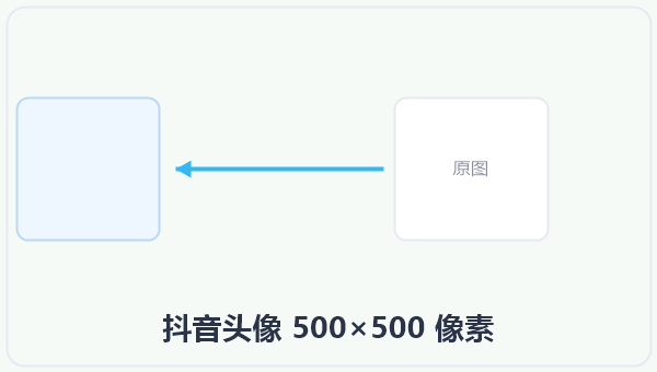 抖音头像 500×500 像素 示意图