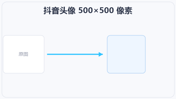 抖音头像 500×500 像素 示意图