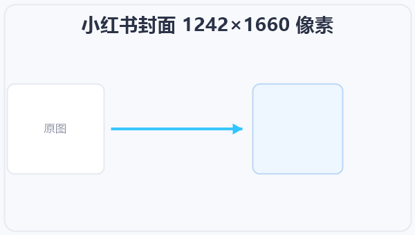 小红书封面 1242×1660 像素 示意图