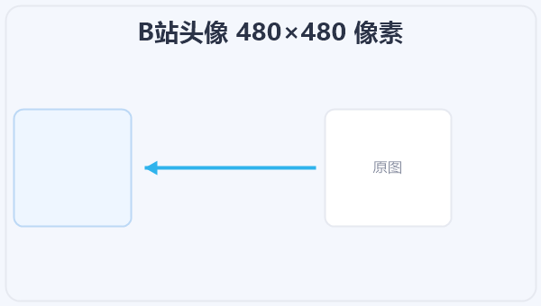 B站头像 480×480 像素 示意图