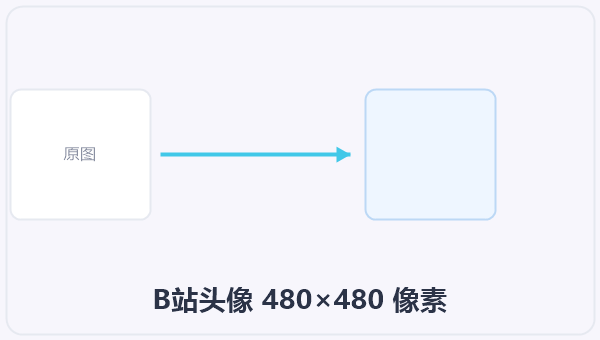 B站头像 480×480 像素 示意图
