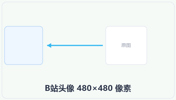 B站头像 480×480 像素 示意图