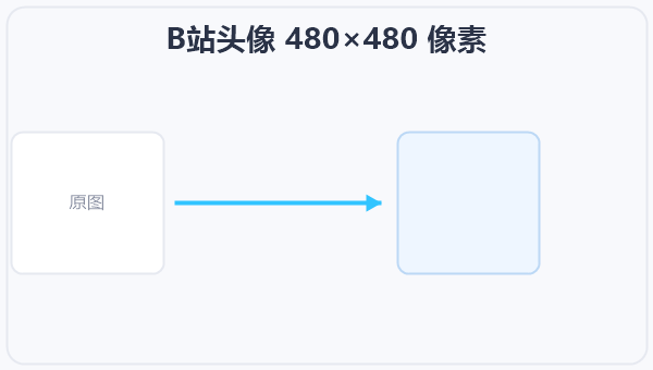 B站头像 480×480 像素