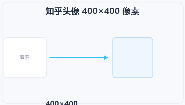 知乎头像 400×400 像素 示意图