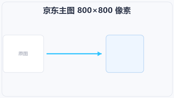 京东主图 800×800 像素 示意图
