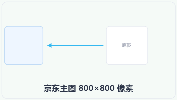京东主图 800×800 像素 示意图