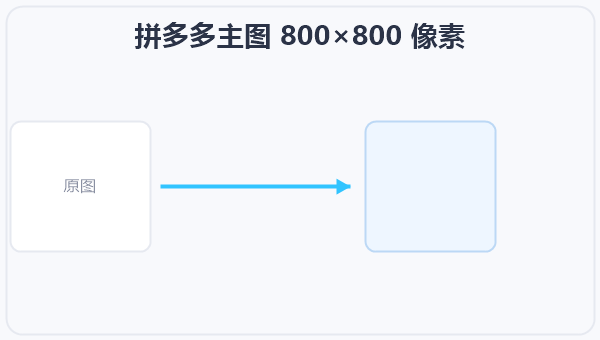 拼多多主图 800×800 像素 示意图