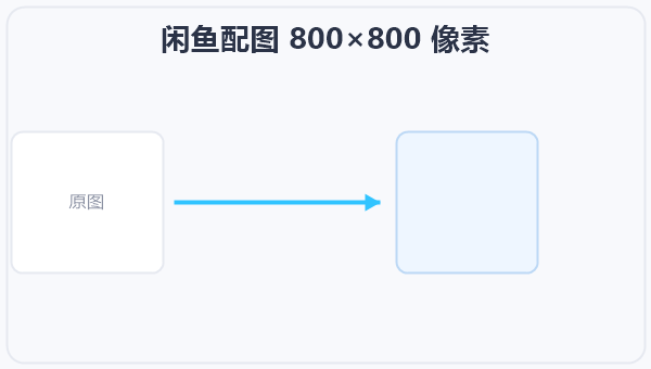 闲鱼配图 800×800 像素 示意图