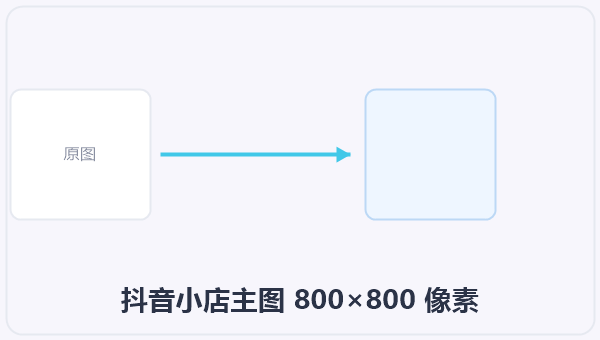 抖音小店主图 800×800 像素 示意图