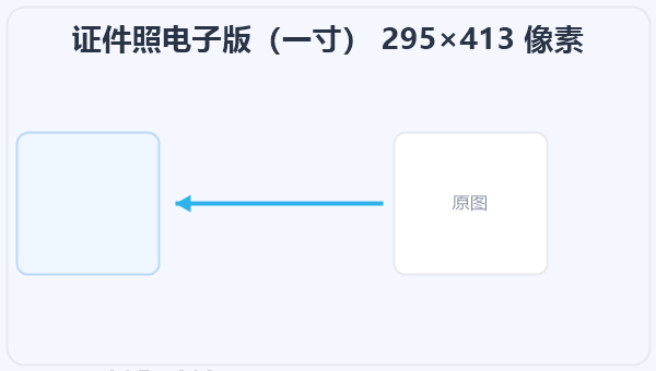 证件照电子版(一寸) 295×413 像素 示意图