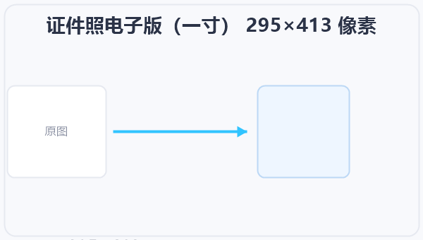 证件照电子版(一寸) 295×413 像素 示意图