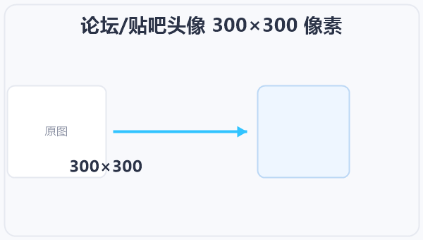 论坛/贴吧头像 300×300 像素 示意图