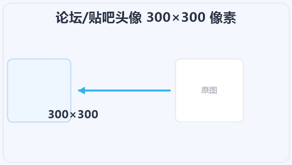 论坛/贴吧头像 300×300 像素 示意图