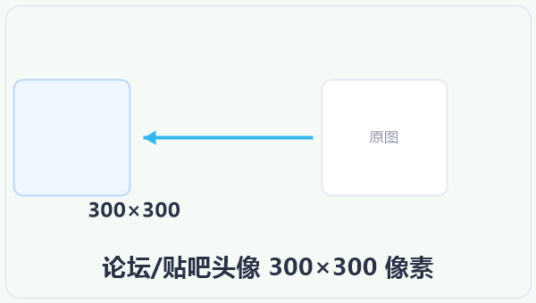 论坛/贴吧头像 300×300 像素 示意图