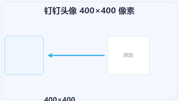 钉钉头像 400×400 像素 示意图