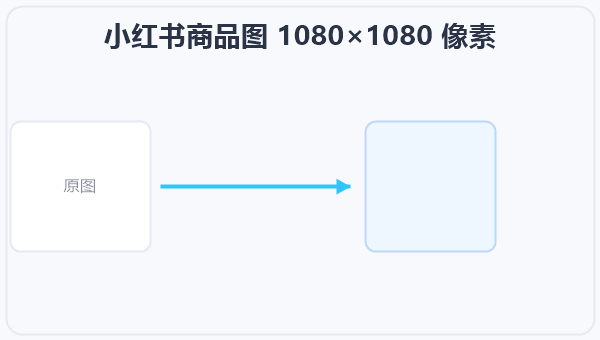 小红书商品图 1080×1080 像素 示意图