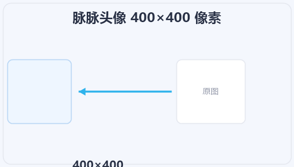 脉脉头像 400×400 像素 示意图