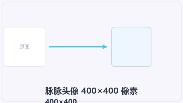 脉脉头像 400×400 像素 示意图