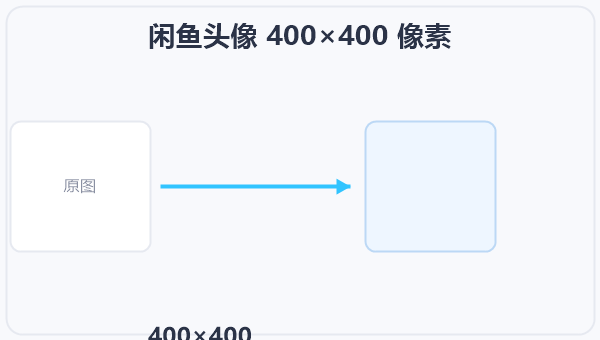 闲鱼头像 400×400 像素 示意图