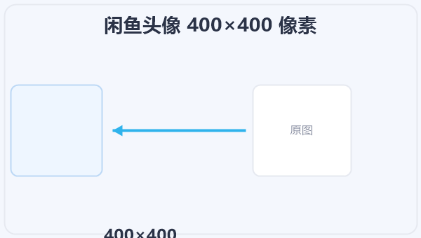 闲鱼头像 400×400 像素 示意图