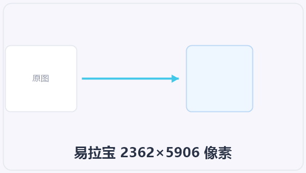 易拉宝 2362×5906 像素 示意图