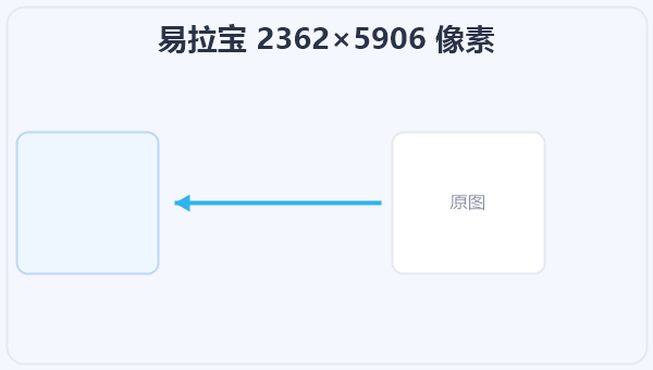 易拉宝 2362×5906 像素 示意图