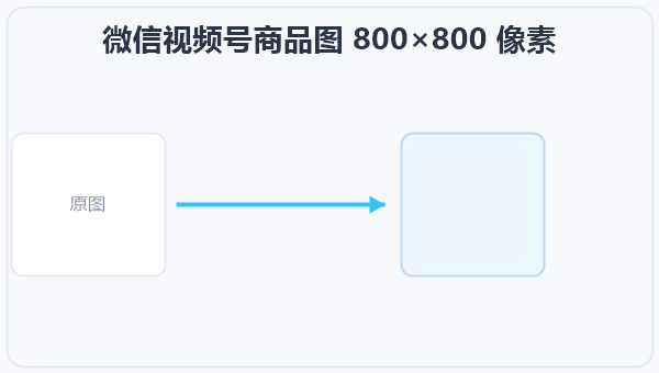 微信视频号商品图 800×800 像素 示意图